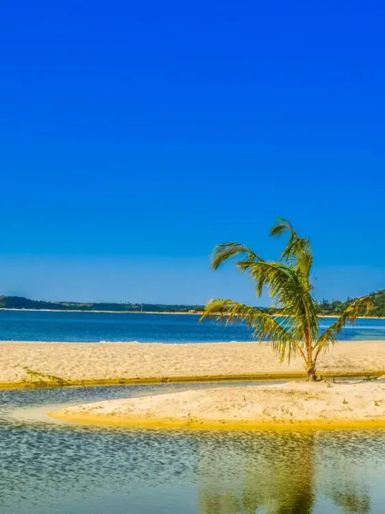 Mozambique e — visa destination