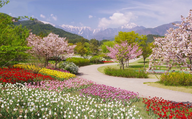Mtatsminda Park