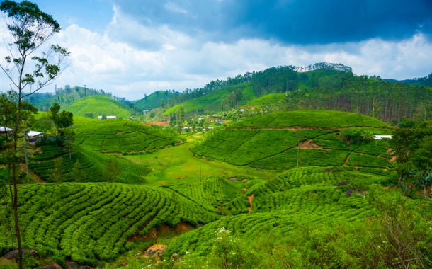 Nuwara Eliya