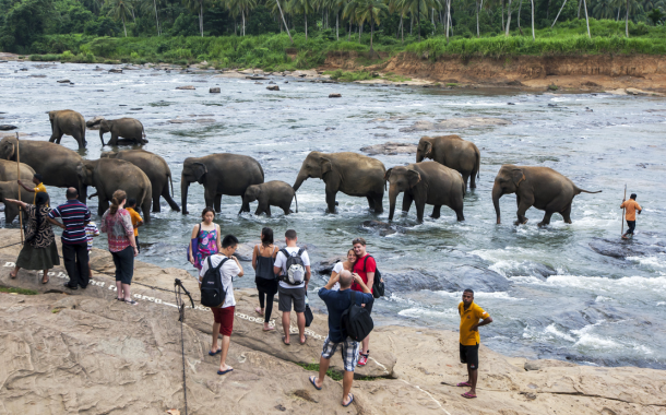 Pinnawala Elephant Orphanage