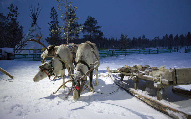 Sami Village Tour