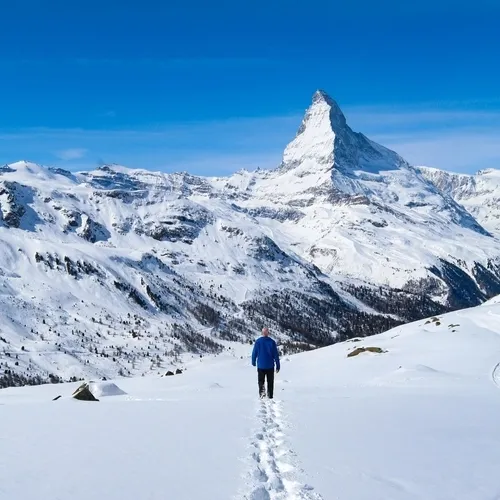 Switzerland & Paris