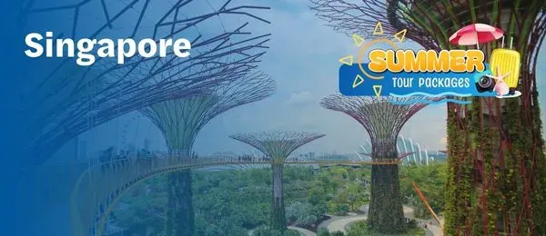 Singapore Tour Package