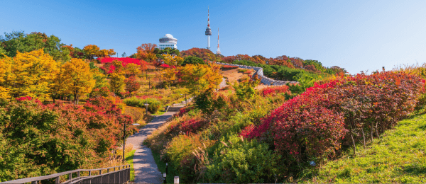 South Korea 05 Night in Seoul 